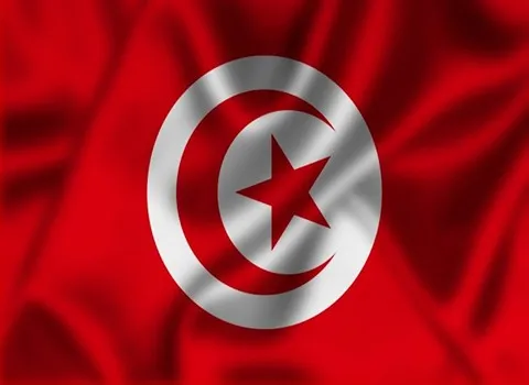 صادرات به تونس