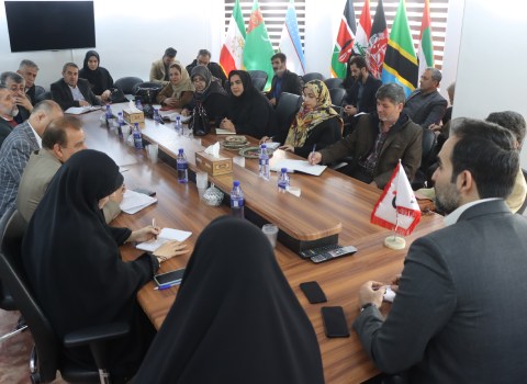 آراد برندینگ